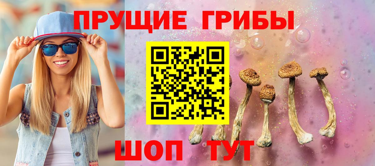 Галлюциногенные грибы мухоморы Медногорск
