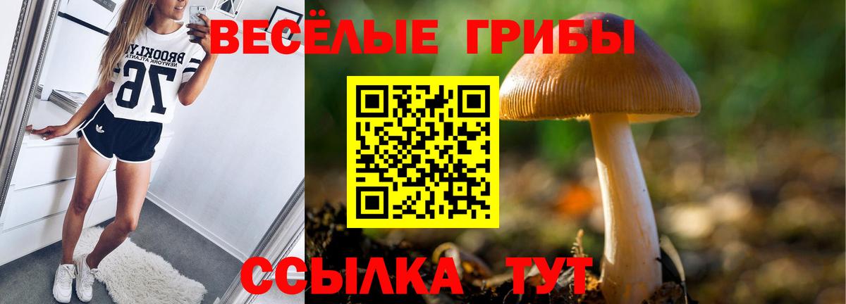 Псилоцибиновые грибы Psilocybine cubensis  продажа наркотиков  Медногорск  Галлюциногенные грибы Psilocybine cubensis  Вход с VPN 